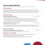 Plantilla de Hoja de Vida Estilo Harvard en Word editable con formato ATS en español