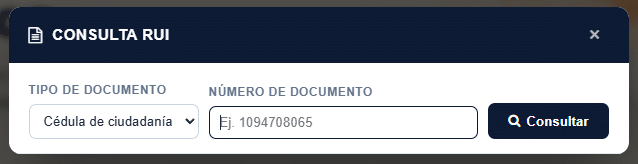 Formulario oficial de Consulta RUI por tipo y número de documento